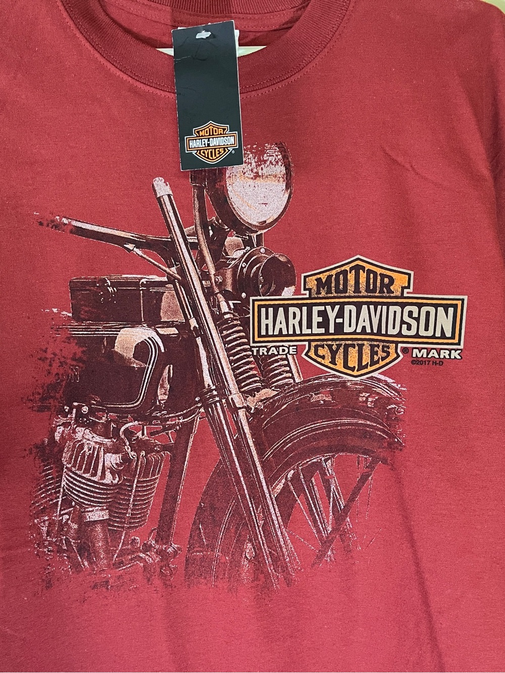 Harley-Davidson Men’s double sided graphic large 2017 t-shirt.